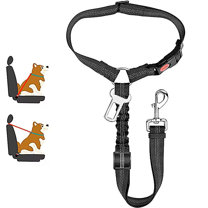 2-in-1 Dog Seat Belt & Leash β Travel Safely with Your Pet!