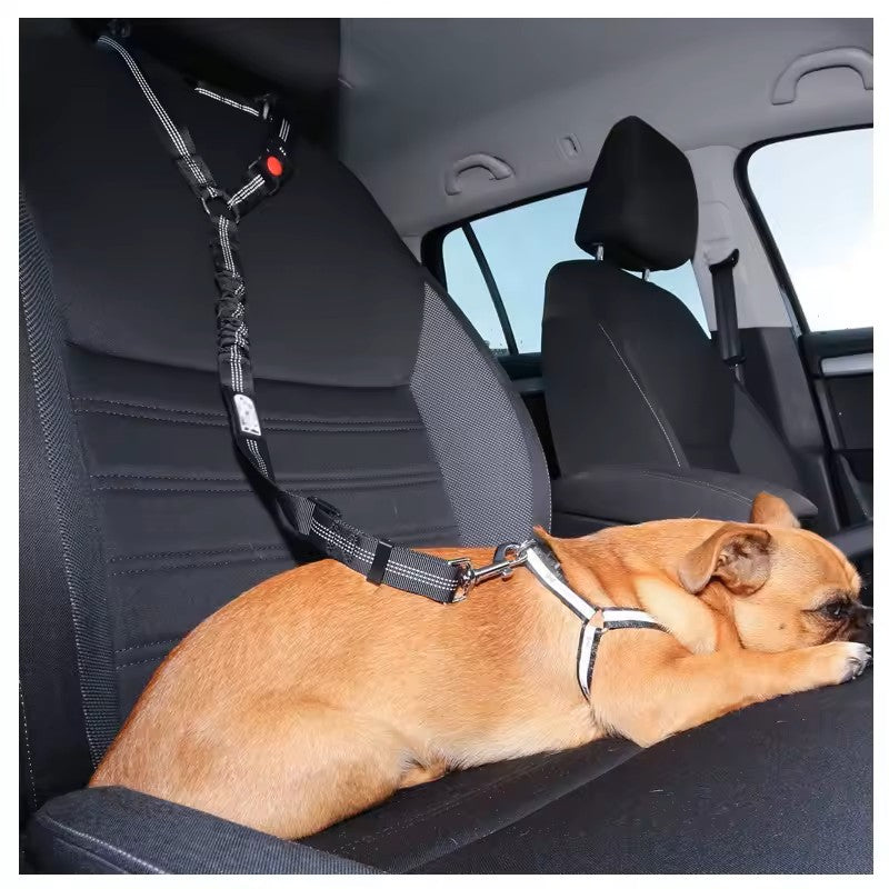 2-in-1 Dog Seat Belt & Leash β Travel Safely with Your Pet!