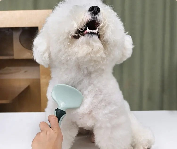 8-in-1 Pet Grooming Travel Set β Keep Your Pet Looking Great Anywhere!