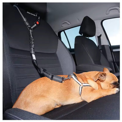 2-in-1 Dog Seat Belt & Leash – Travel Safely with Your Pet!