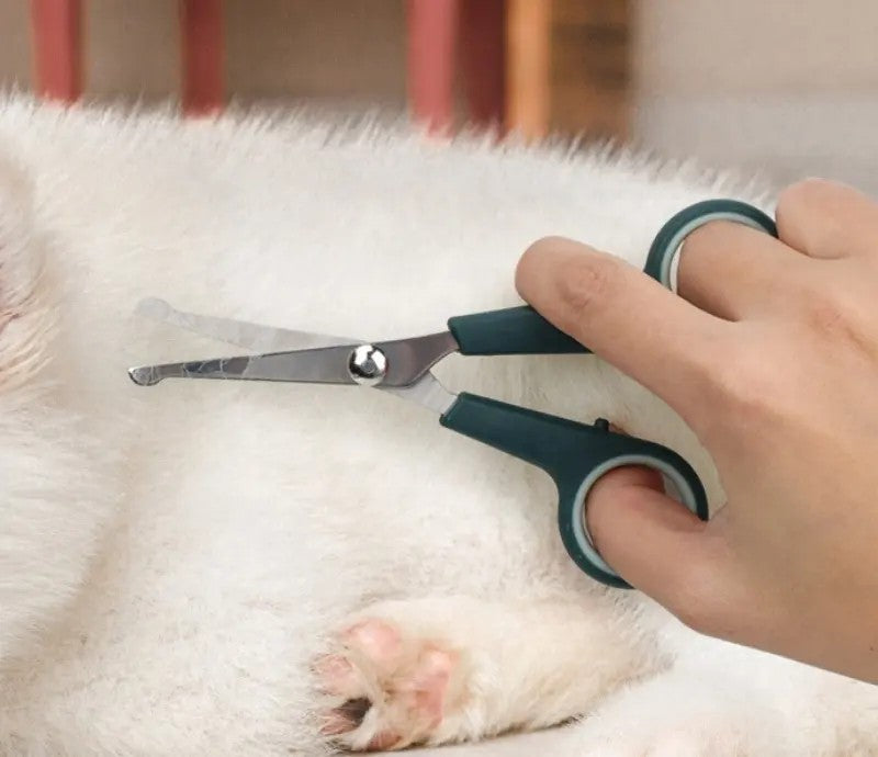 8-in-1 Pet Grooming Travel Set – Keep Your Pet Looking Great Anywhere!