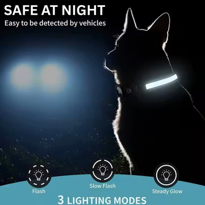 LED Dog Leash with AirTag Holder – Light the Way & Track with Ease!
