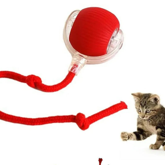 Petsi Smart Interactive Cat Ball – Automatic Rolling Fun!