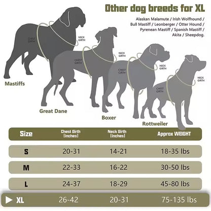 Tactical Dog Harness – Built for Control, Comfort & Adventure!